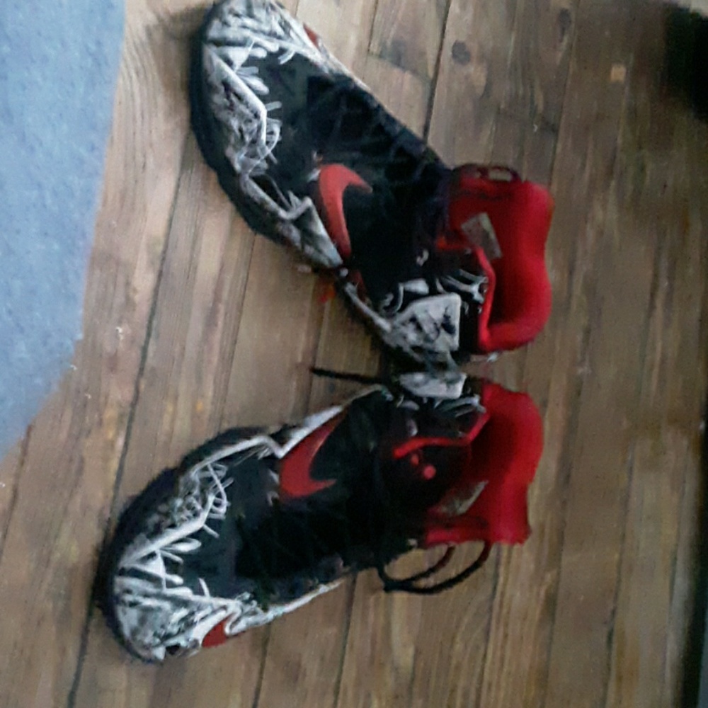 Lebrons Size 12